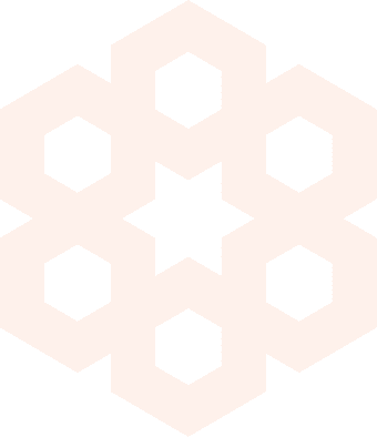 Orange immunie logo